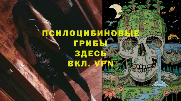 винт Арсеньев